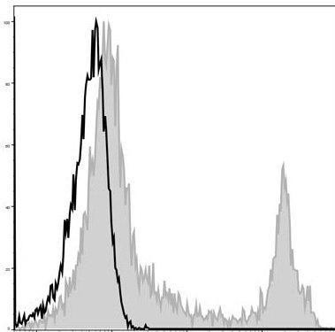 GenieFluor 488 Anti-Mouse CD45R/B220 Antibody [RA3.3A 1/6.1] (AGEL1416)