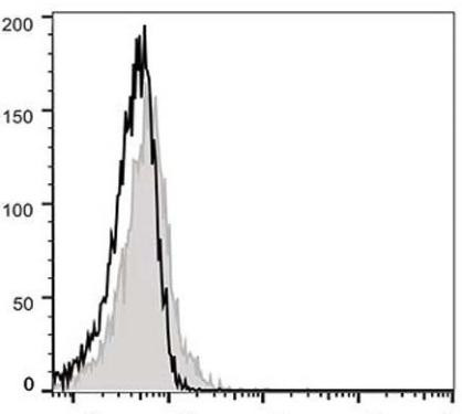 GenieFluor 488 Anti-Mouse CD183/CXCR3 Antibody [CXCR3-173] (AGEL1435)