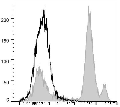 PerCP/Cyanine5.5 Anti-Mouse Ly6C Antibody [Monts 1] (AGEL1509)