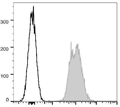 APC Anti-Mouse CD45.2 Antibody [104.2] (AGEL1527)