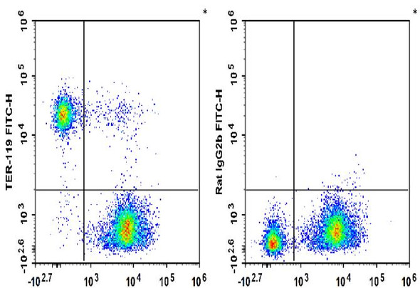 FITC Anti-Mouse TER-119 Antibody [TER-119] (AGEL1567)