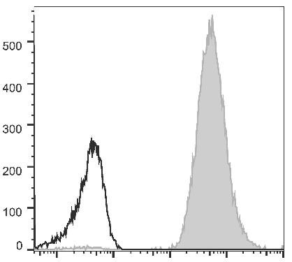 PE Anti-Human HLA-A,B,C Antibody [W6/32] (AGEL1615)