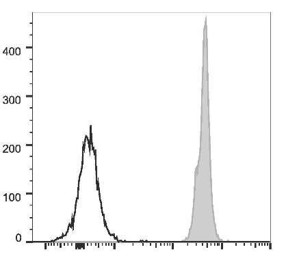 PerCP Anti-Mouse CD45 Antibody [30-F11] (AGEL1660)
