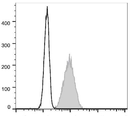 FITC Anti-Human CD10 Antibody [HI10a] (AGEL1716)
