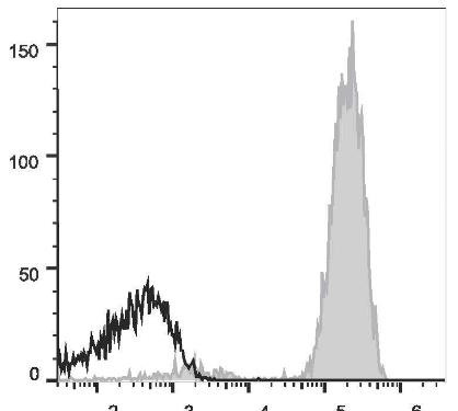 GenieFluor 647 Anti-Human CD2 Antibody [TS1/8] (AGEL1773)