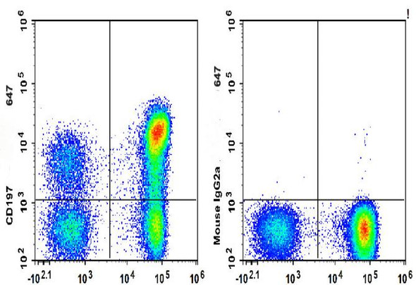 GenieFluor 647 Anti-Human CD197/CCR7 Antibody [G043H7] (AGEL1810)