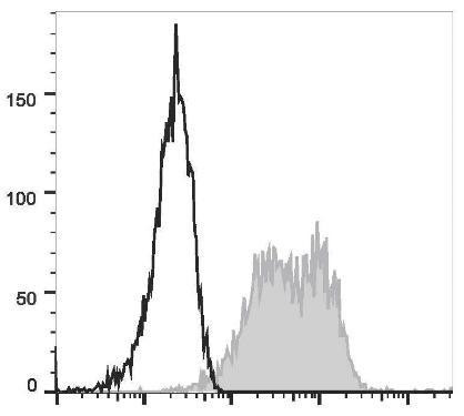 PE Anti-Human CD90 Antibody [5E10] (AGEL1829)
