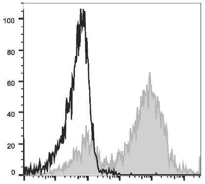 APC Anti-Mouse CD14 Antibody [Sa14-2] (AGEL1865)