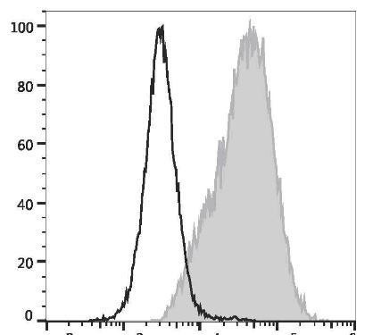 FITC Anti-Mouse CD14 Antibody [Sa14-2] (AGEL1872)