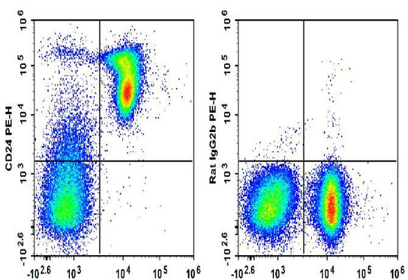 PE Anti-Mouse CD24 Antibody [M1/69] (AGEL1892)