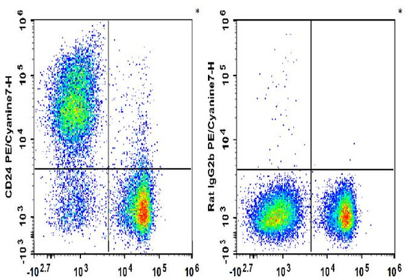 PE/Cyanine7 Anti-Mouse CD24 Antibody [M1/69] (AGEL1895)