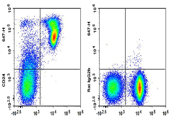 GenieFluor 647 Anti-Mouse CD24 Antibody [M1/69] (AGEL1908)