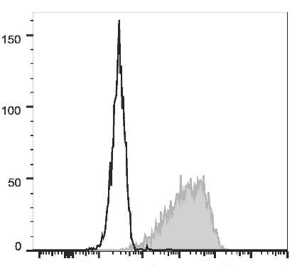 PE Anti-Mouse CD326 Antibody [G8.8] (AGEL1931)