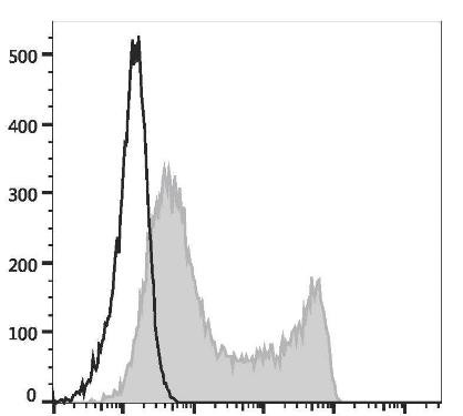 PE Anti-Mouse CD45.1 Antibody [A20] (AGEL1949)