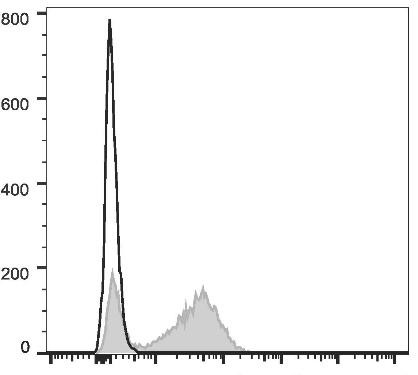 APC Anti-Human CD28 Antibody [CD28.2] (AGEL2022)