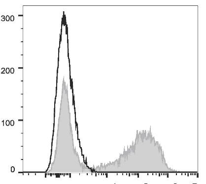 PE Anti-Mouse IL-17A Antibody [TC11-18H10.1] (AGEL2036)