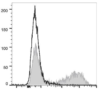 APC Anti-Mouse IL-17A Antibody [TC11-18H10.1] (AGEL2037)