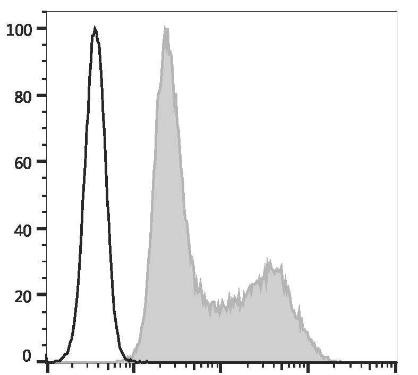 PE Anti-Human IL-4 Antibody [MP4-25D2] (AGEL2055)