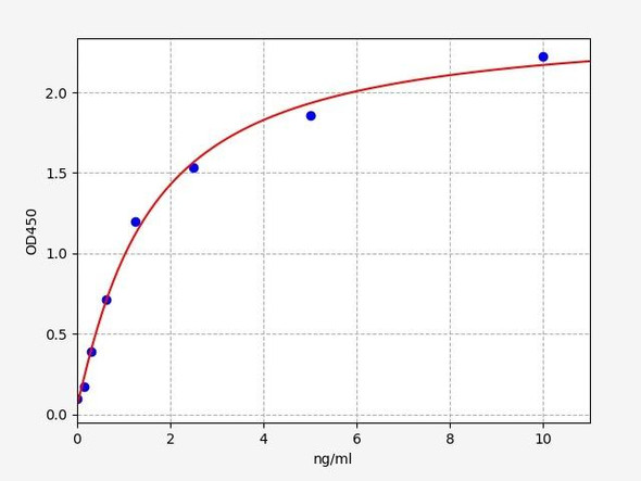 Rat ALCAM / CD166 ELISA Kit