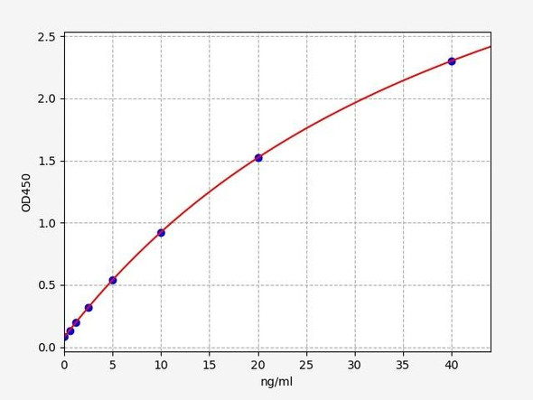 Rat Calpain-3 / CAPN3 ELISA Kit