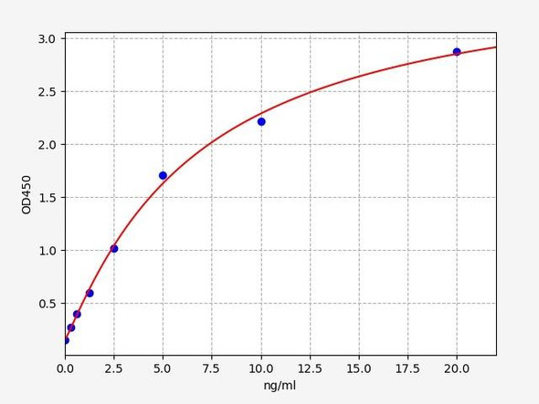 Rat Caspase-7 ELISA Kit