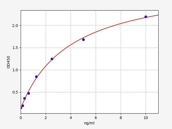 Mouse FoxO1 / FKHR / Forkhead box protein O1 ELISA Kit