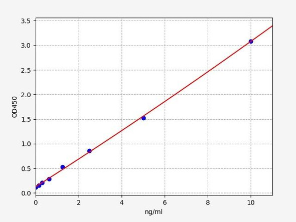 Mouse CD19 ELISA Kit