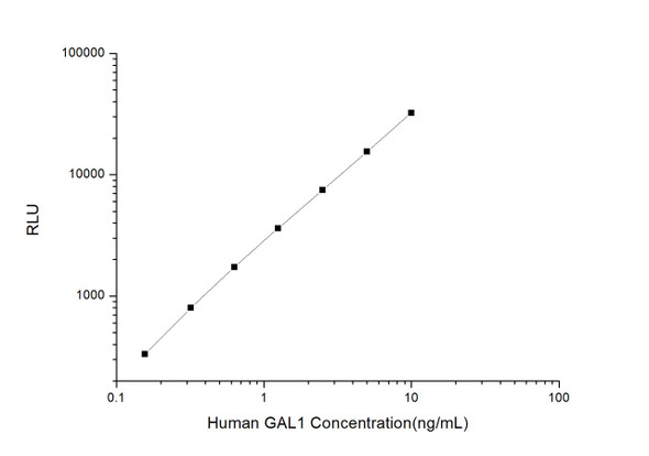 Human GAL1 (Galectin 1 ) CLIA Kit  (HUES00616)