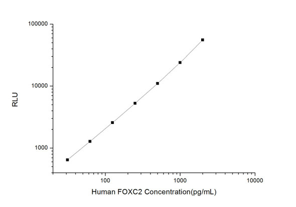 Human FOXC2 (Forkhead Box Protein C2) CLIA Kit (HUES00883)