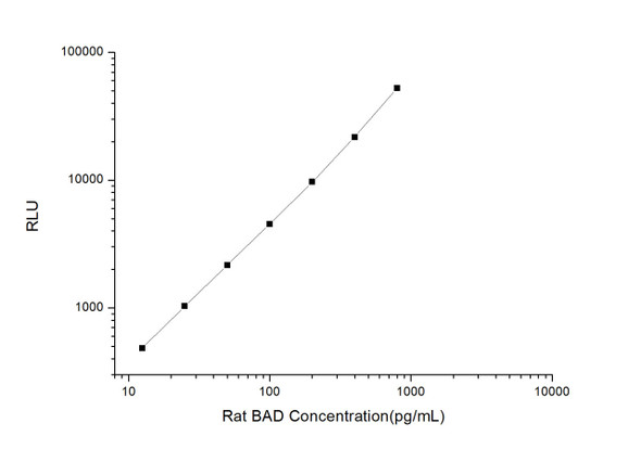 Rat BAD (BCL-2 Associated Death Promoter) CLIA Kit (RTES00060)