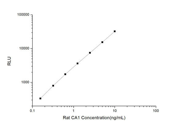 Rat CA1 (Carbonic Anhydrase I) CLIA Kit (RTES00086)