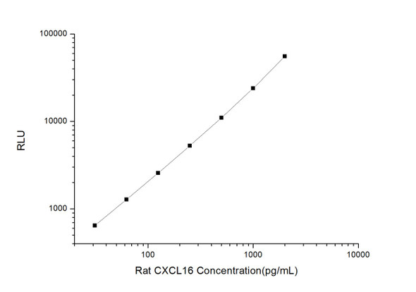 Rat CXCL16 (Chemokine C-X-C-Motif Ligand 16) CLIA Kit  (RTES00109)