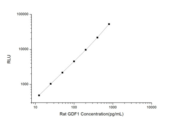 Rat GDF1 (Growth Differentiation Factor 1) CLIA Kit (RTES00264)