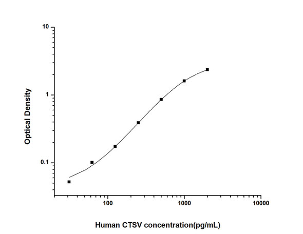 Human CTSV (Cathepsin V) ELISA Kit (HUES01306)