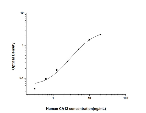 Human CA12 (Carbonic Anhydrase XII) ELISA Kit (HUES01880)
