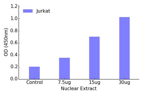 E2F-5 Transcription Factor Activity Assay