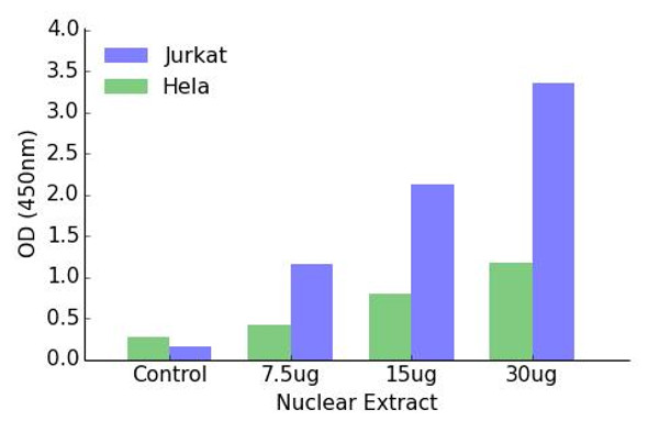 HOXA1 Transcription Factor Activity Assay