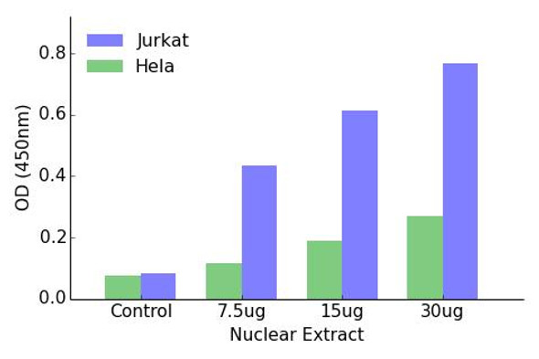 HOXD10 Transcription Factor Activity Assay