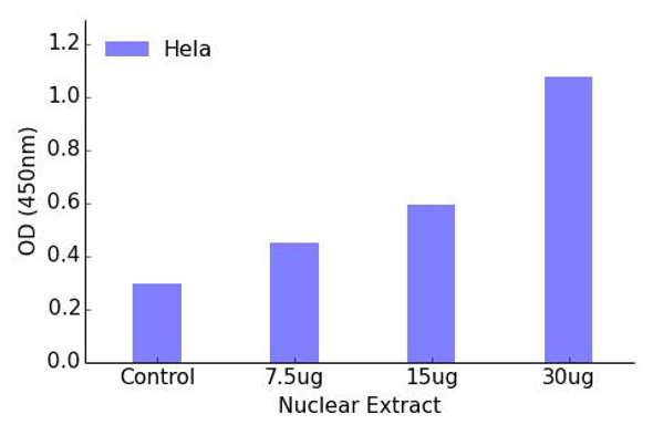 SP3/4 Transcription Factor Activity Assay