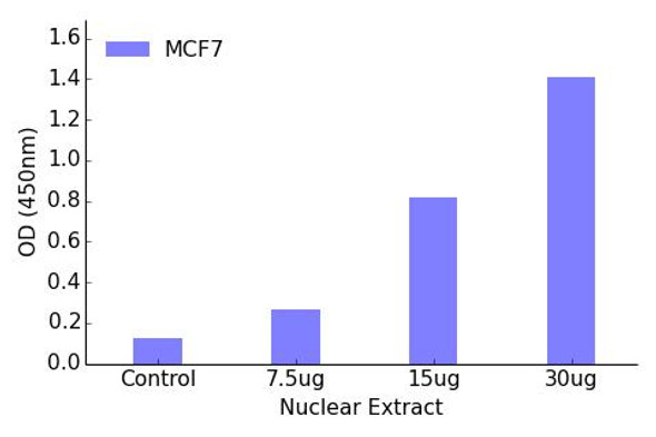 Retinoic Acid Receptor beta Transcription Factor Activity Assay