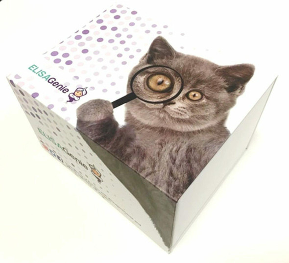 Human Catalase (CAT) ELISA Kit