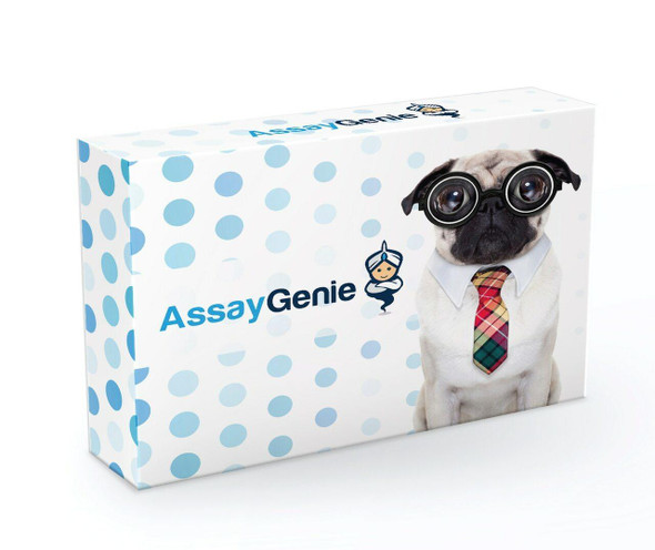 Canine IL-1 alpha DIY ELISA Kit