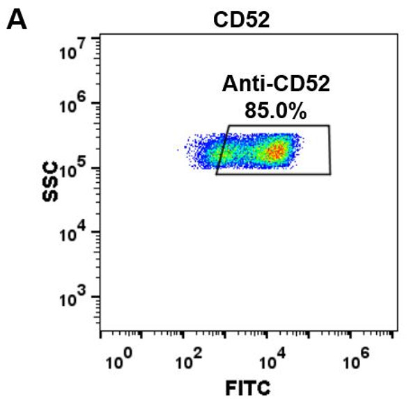 Alemtuzumab (Anti-CD52) Biosimilar Antibody