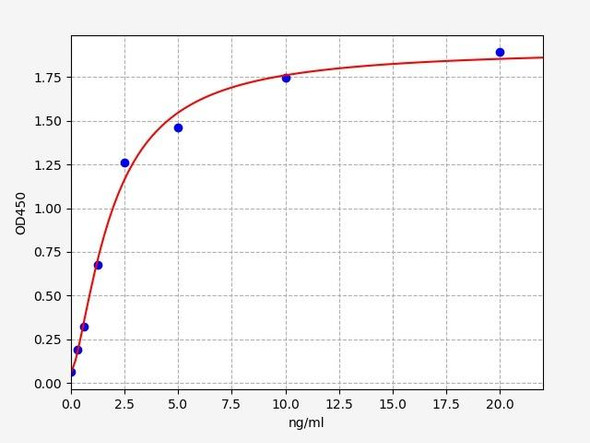 Rabbit beta-actin (Beta actin) ELISA Kit (RBFI00168)