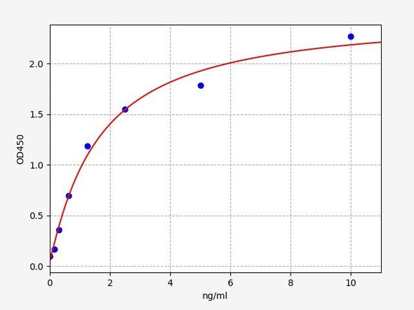 Rat Lhb (Lutropin subunit beta) ELISA Kit (RTFI01435)