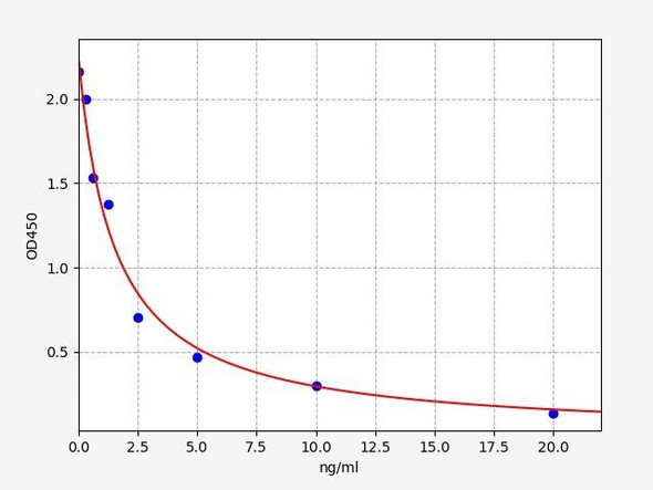 Rat T (Testosterone) ELISA Kit (RTFI01472)