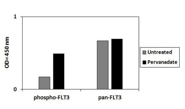 Human Phospho-FLT3 (Y589) and Total FLT3 PharmaGenie ELISA Kit (SBRS1830)