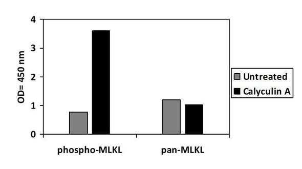 Human Phospho-MLKL (S345) and Total MLKL PharmaGenie ELISA Kit (SBRS1901)