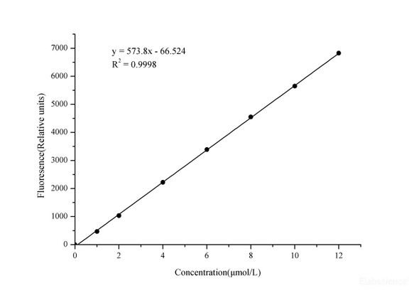 Xanthine Oxidase Activity Assay Kit - Fluorometric (MAES0006)