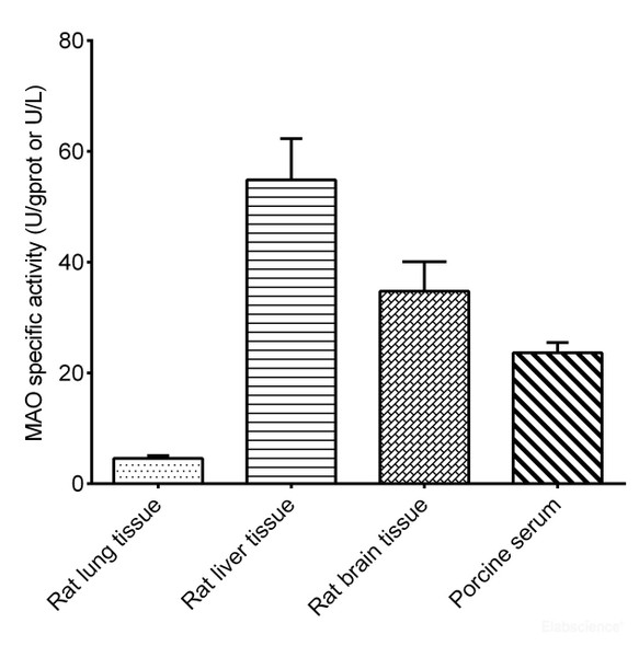 Monoamine Oxidase (MAO) Activity Assay Kit (MAES0021)